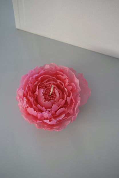 Peony flower candle