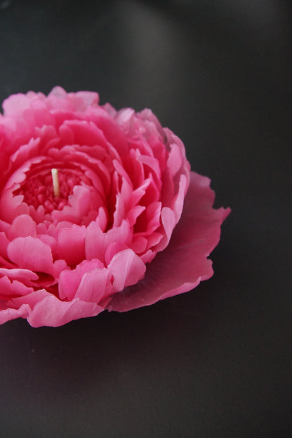 Peony flower candle