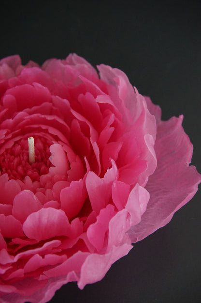 Peony flower candle
